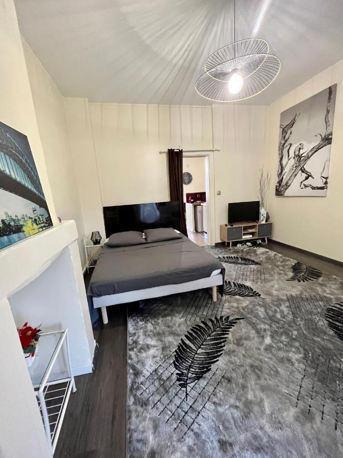 Superbe Appartement, Proche Gare, Jardin/Terrasse - Dabnb Limoges Ngoại thất bức ảnh